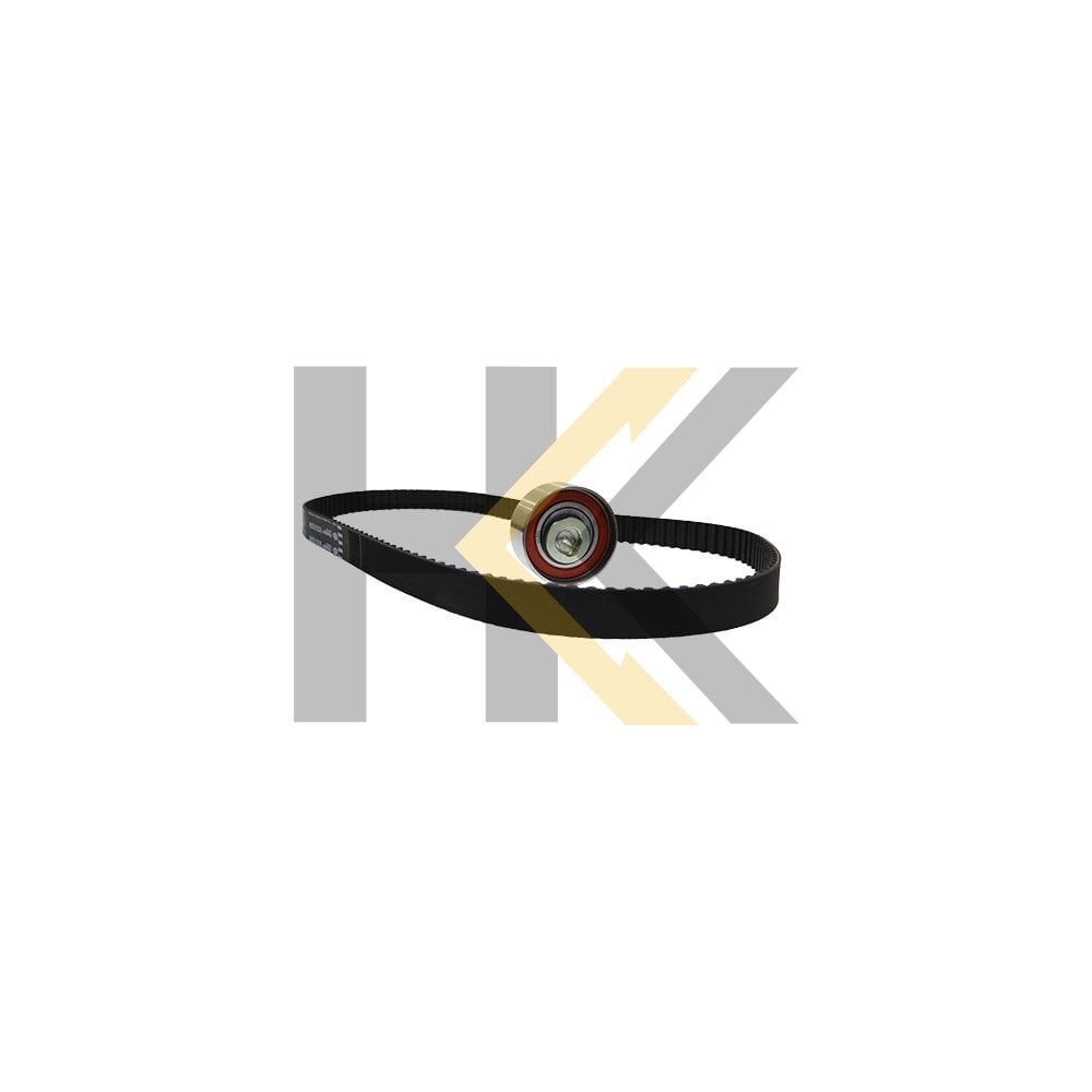 EKSANTRIK RULMAN KITI TRIGER SETI FIAT 1.2 8V 03-
