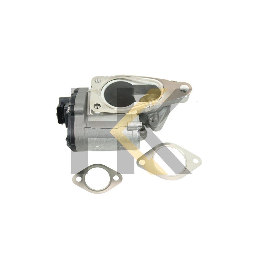 EGR VALFI RENAULT MEGANE II SCENIC II LAGUNA II TRAFIC II OPEL VIVARO SUZUKI GRAND VITARA 2005- 1.9DCI-CDTI-DDIS (8200796571-8200609274-8200507299)