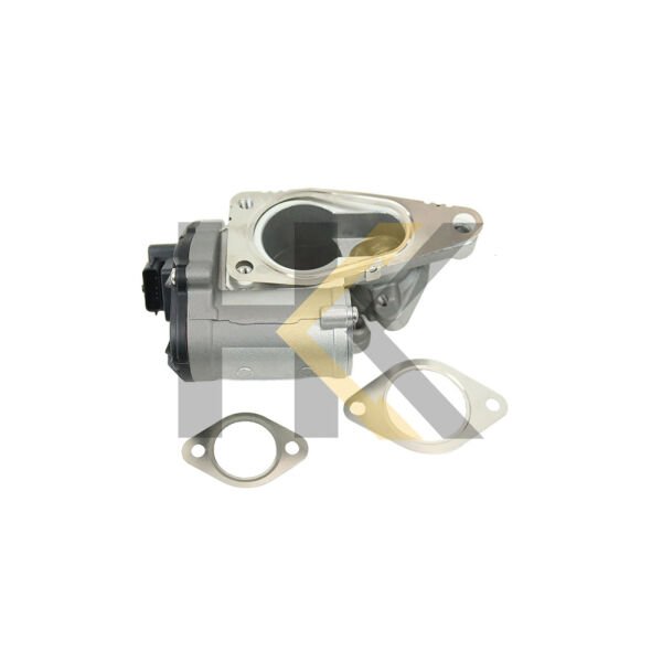 EGR VALFI RENAULT MEGANE II SCENIC II LAGUNA II TRAFIC II OPEL VIVARO SUZUKI GRAND VITARA 2005- 1.9DCI-CDTI-DDIS (8200796571-8200609274-8200507299)