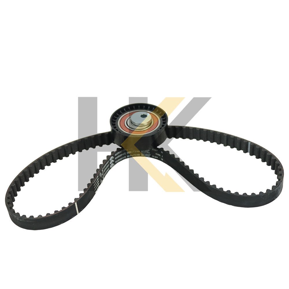 EKSANTRIK RULMAN KITI (096x173) DACIA LOGAN 1.4-1.6 04- SANDERO 1.4-1.6 08- DOKKER 1.6 16V 13-